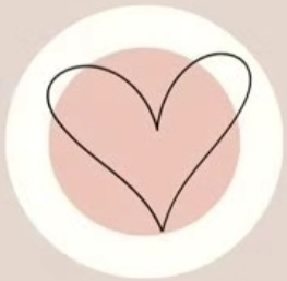 layout and grid design